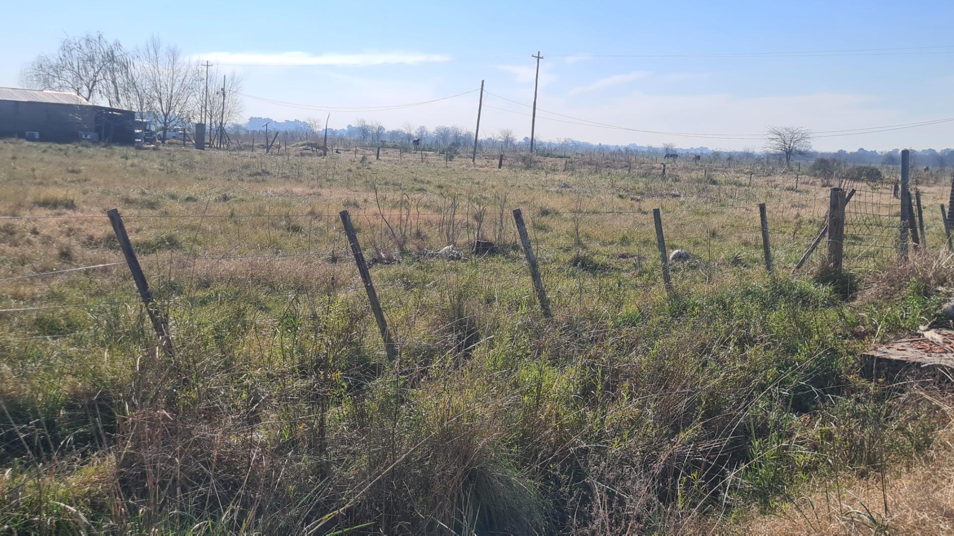 Primero De Mayo Y Solis