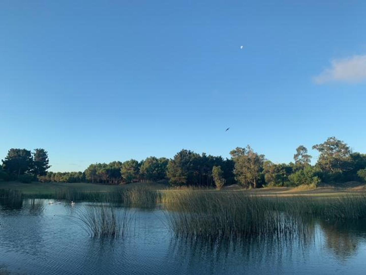 Terreno en Venta de 1007,0 m2