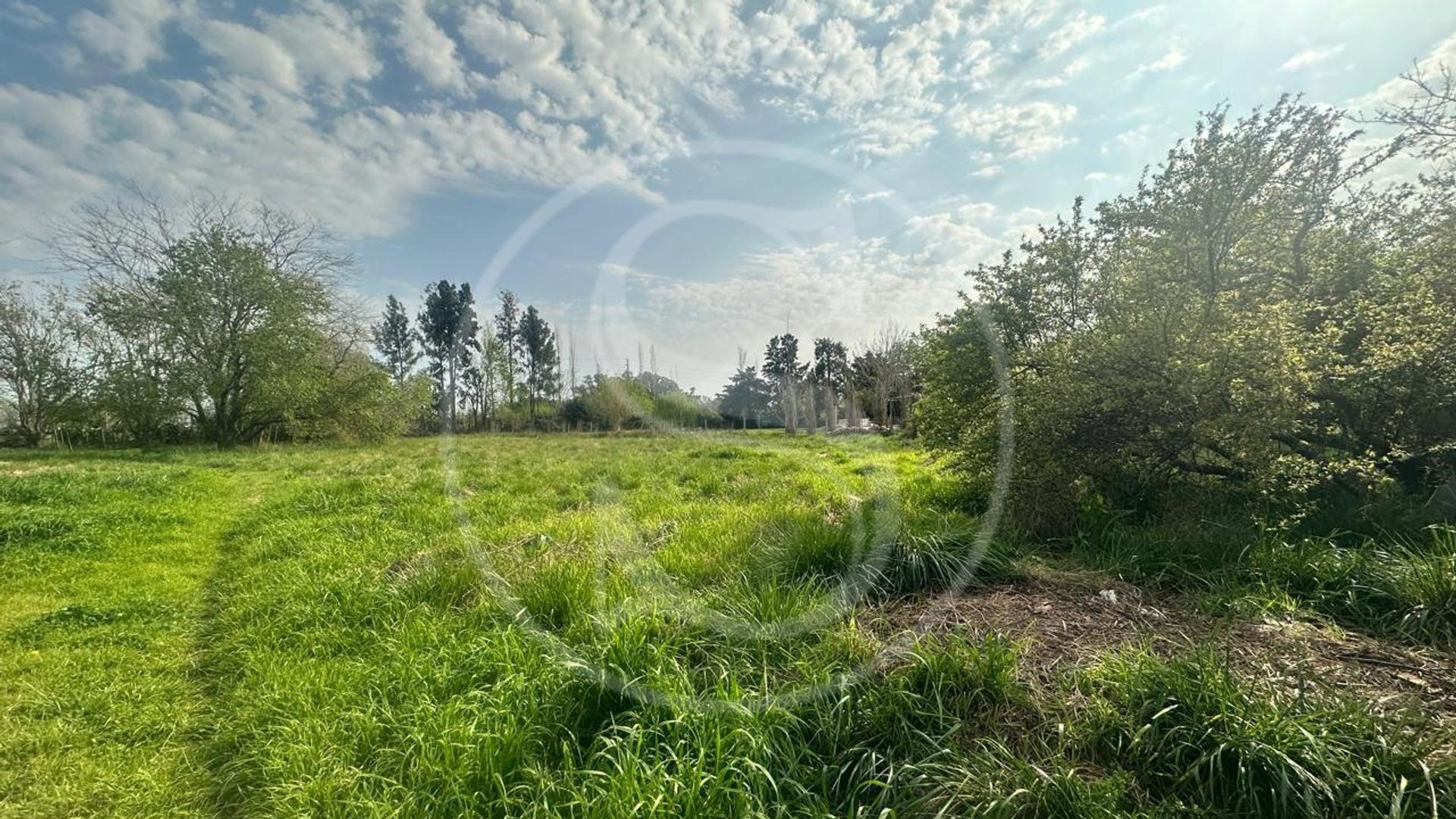 Terreno en Venta de 2960,0 m2