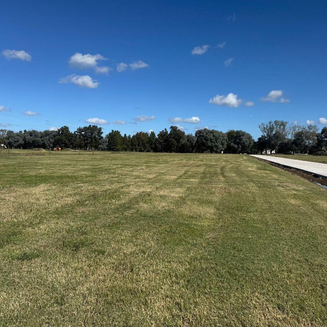 Hermoso Lote En Venta En El Cardal Iii,