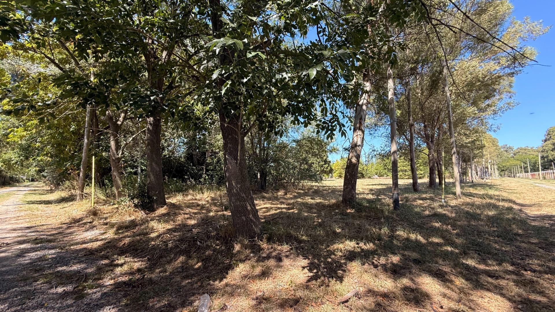 Parque Las Naciones, Ruta 210