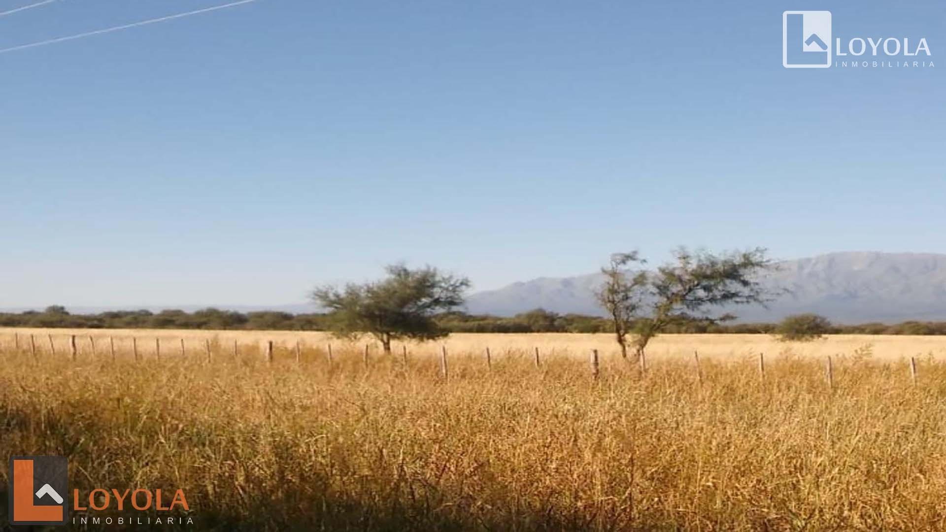 Campo en venta de 256 Hectáreas en Ruta 148 Luyaba, Cordoba