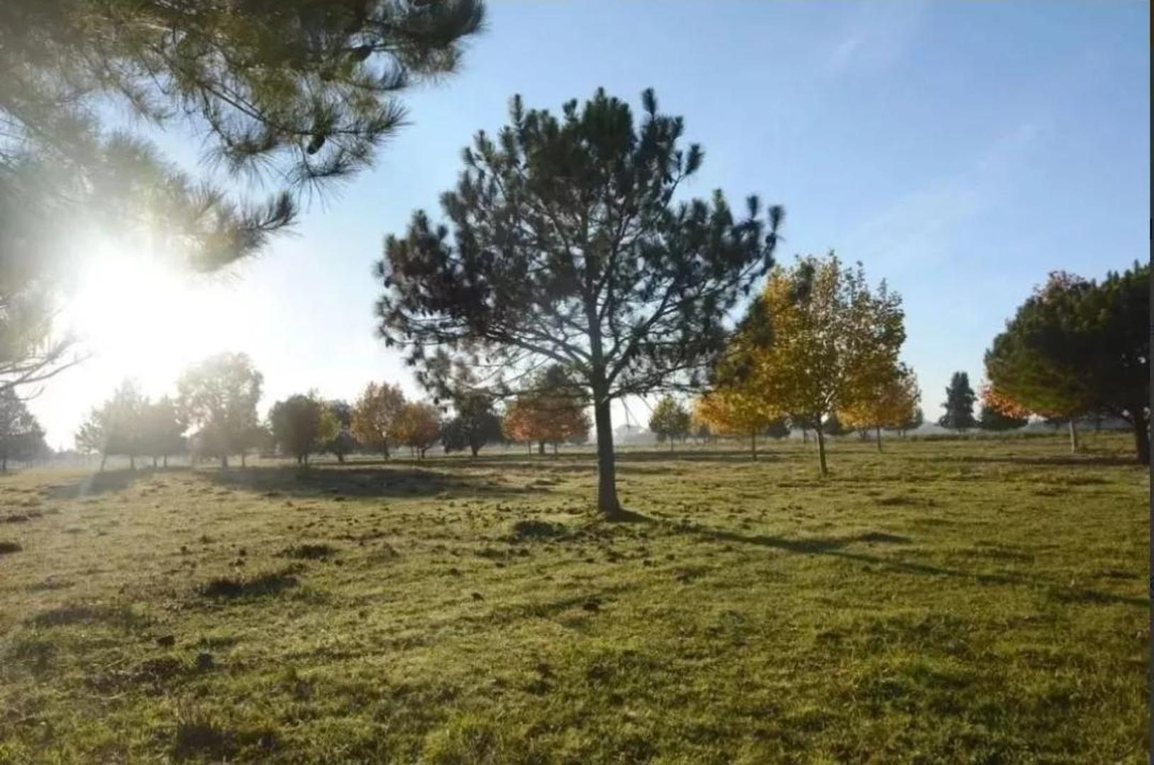 Hermoso lote interno en barrio cerrado Mirabosques (Cardales