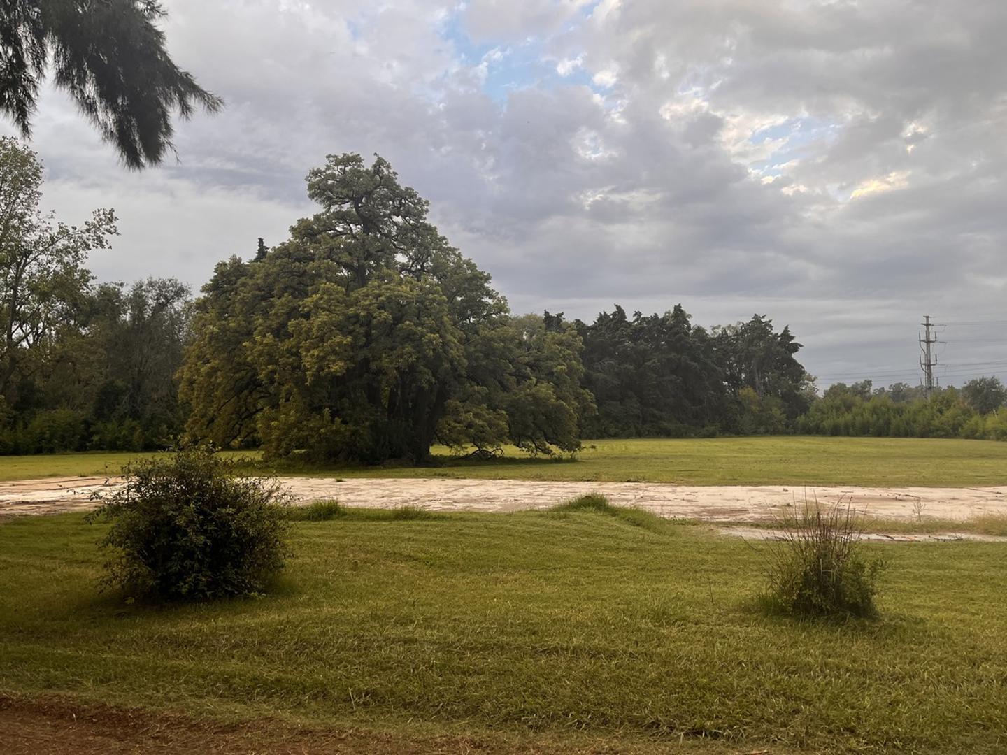 Av José Dalco Domenech