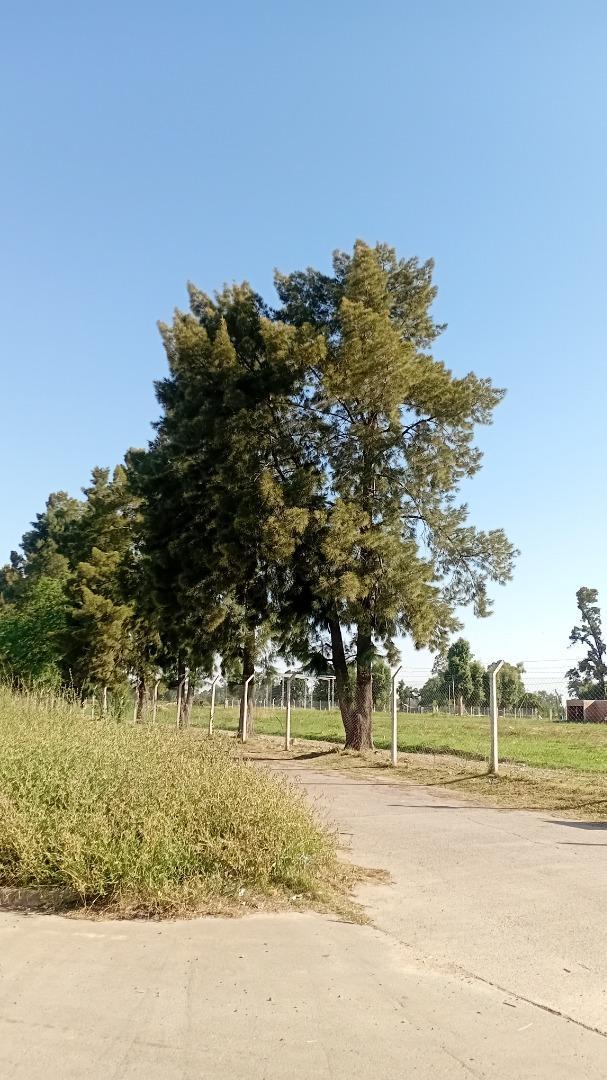 Dr Hector Campora Y Lemos