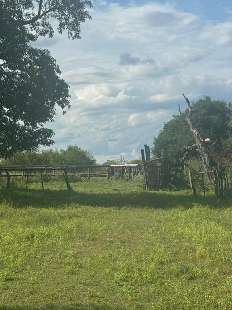 Campo 21 Hec Ganadero Y Agricola Sauce Corrientes