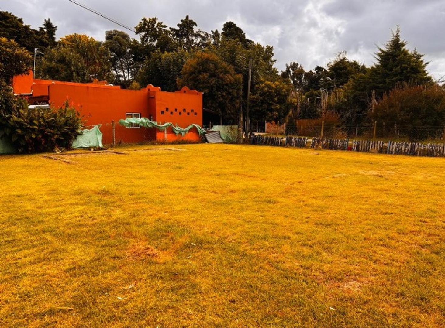 Parque Sakura. Jose Ingenieros 200