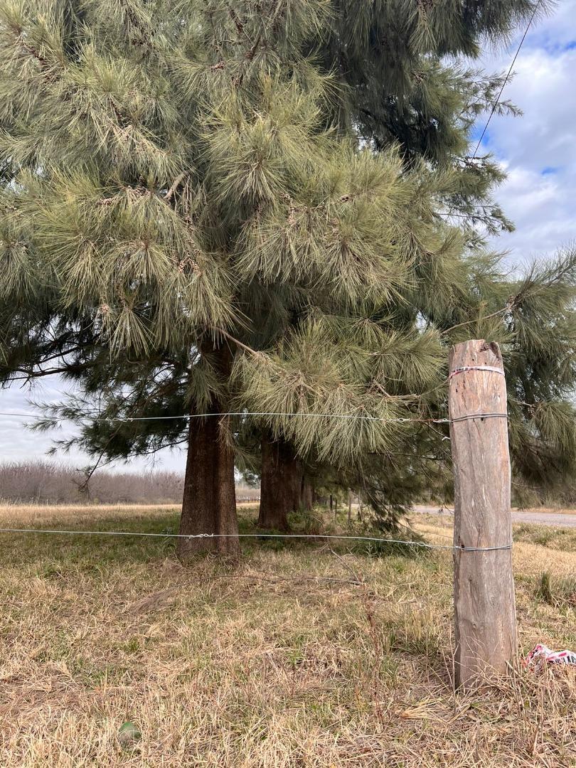 Terreno en Venta de 1450,0 m2