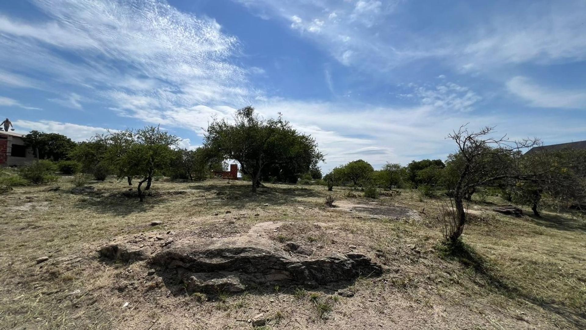 Terreno en Venta de 1005,0 m2