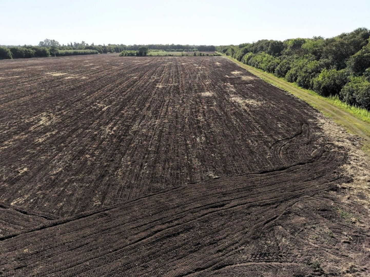 VENTA CAMPO 11 HAS CAMINO 60 CUADRAS KM 11 Y MEDIO