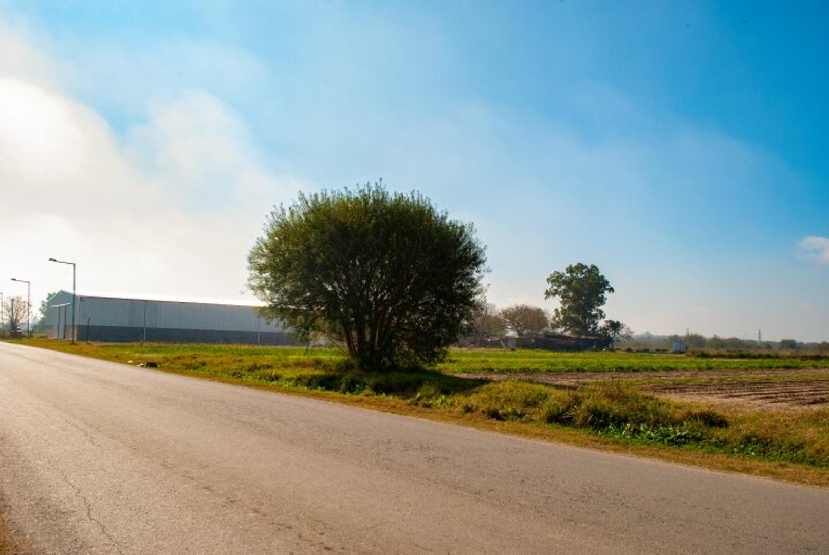 Terreno en Venta de 2500,0 m2