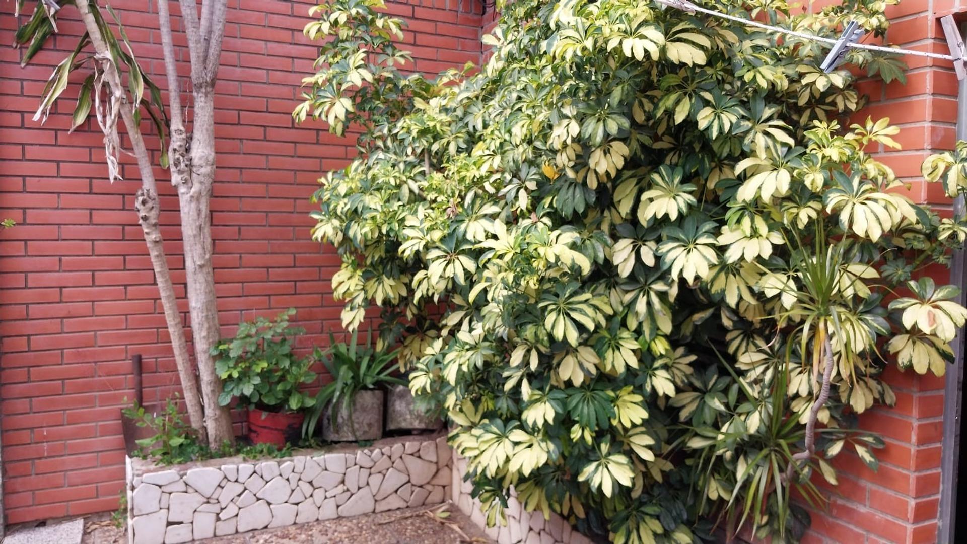 INTERNO UNICO EN REPÚBLICA DE SIRIA AL 6700