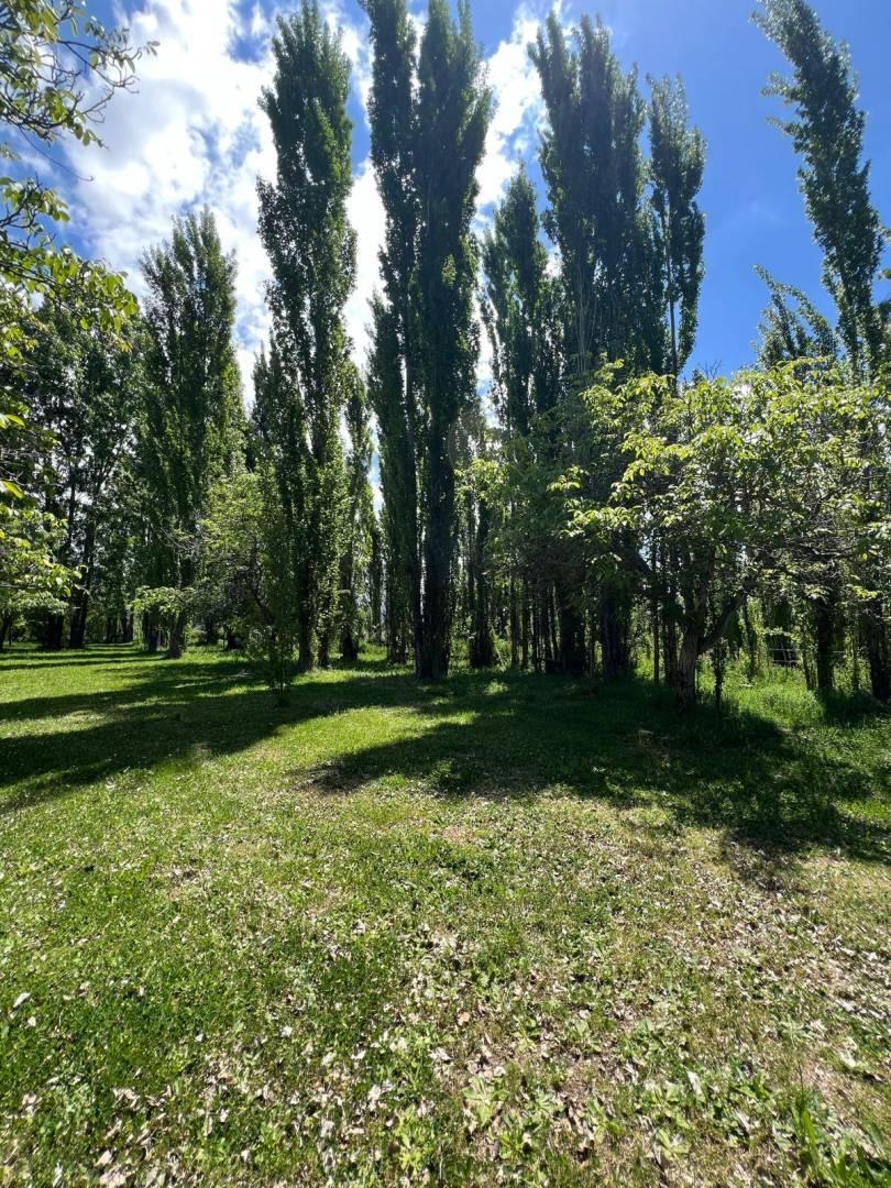 Campo en Venta de 8,05  ha