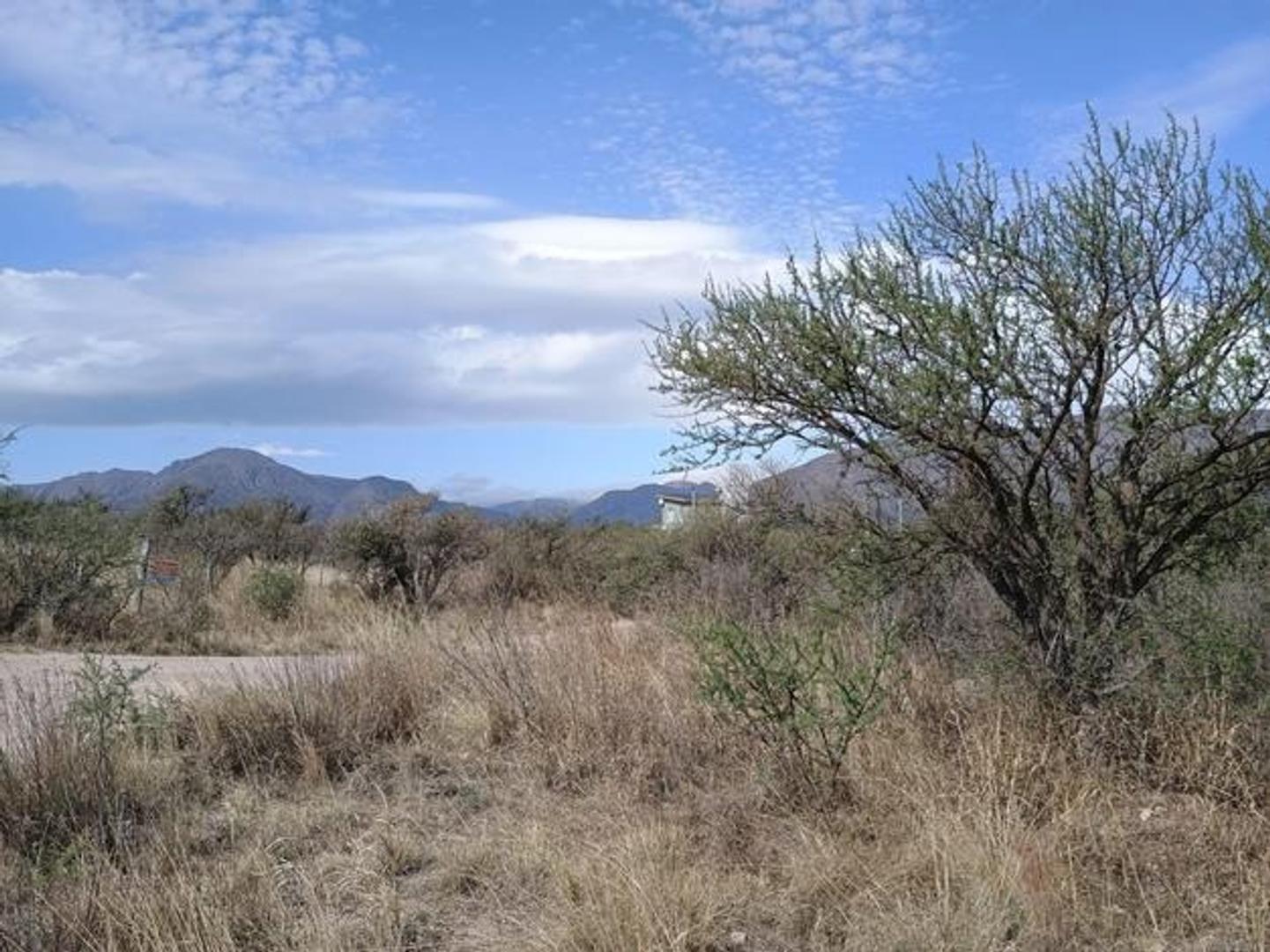 Terreno en Venta de 980,0 m2