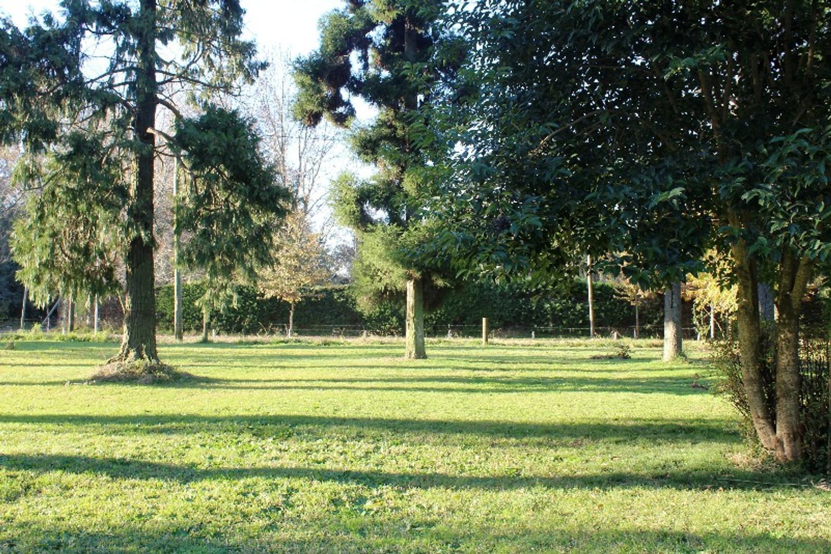 LOTES EN VENTA TORTUGAS 3 DEL VISO