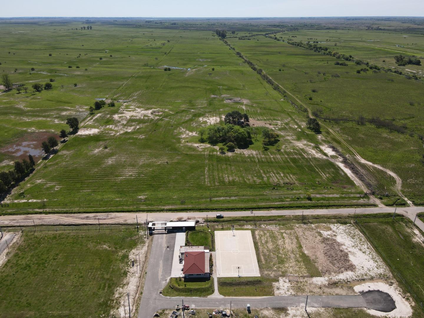 Florencio Parravacini