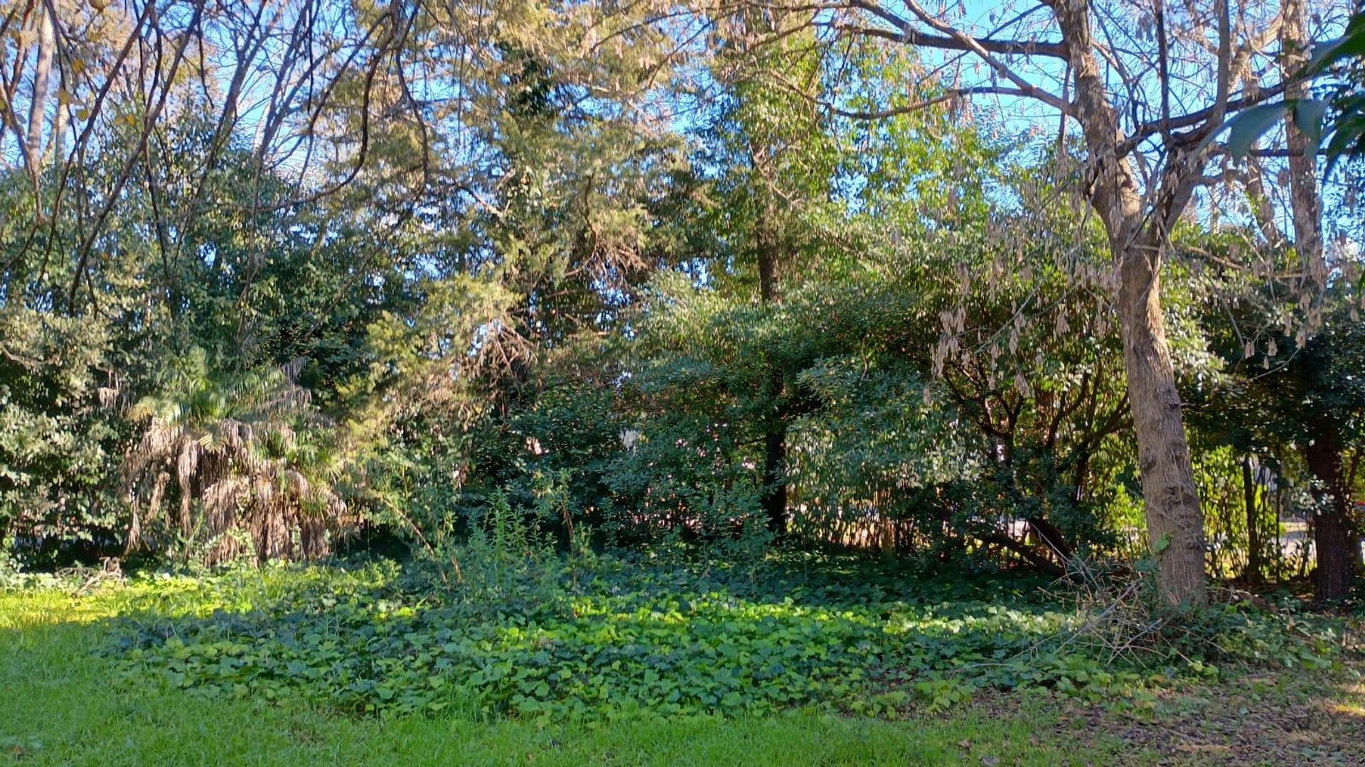 Casa en Alquiler al Norte
