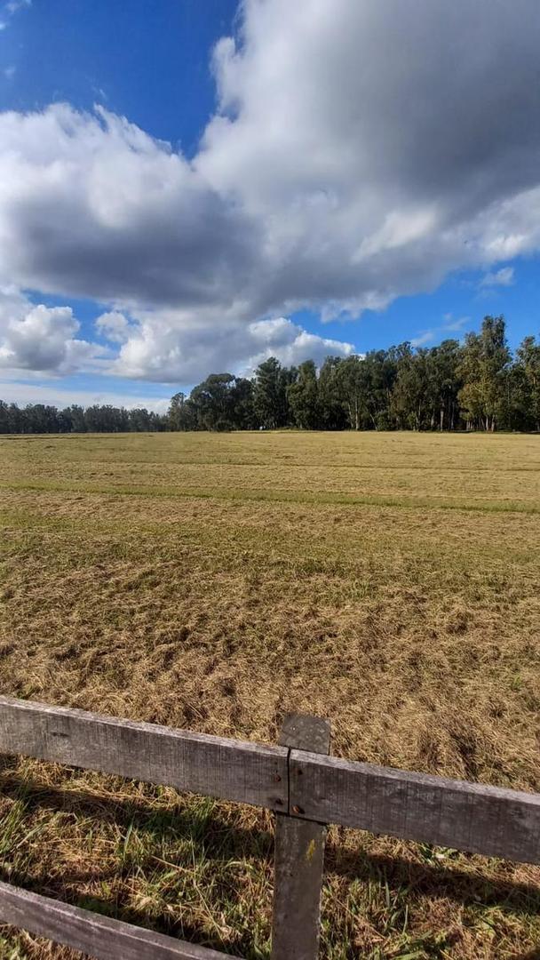 Terreno en Venta en Quebradas, USD 126.000