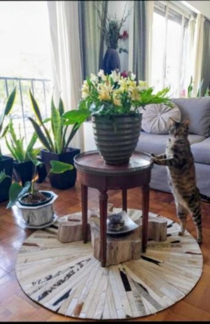 Carlos Pellegrini 1300 , Piso 2