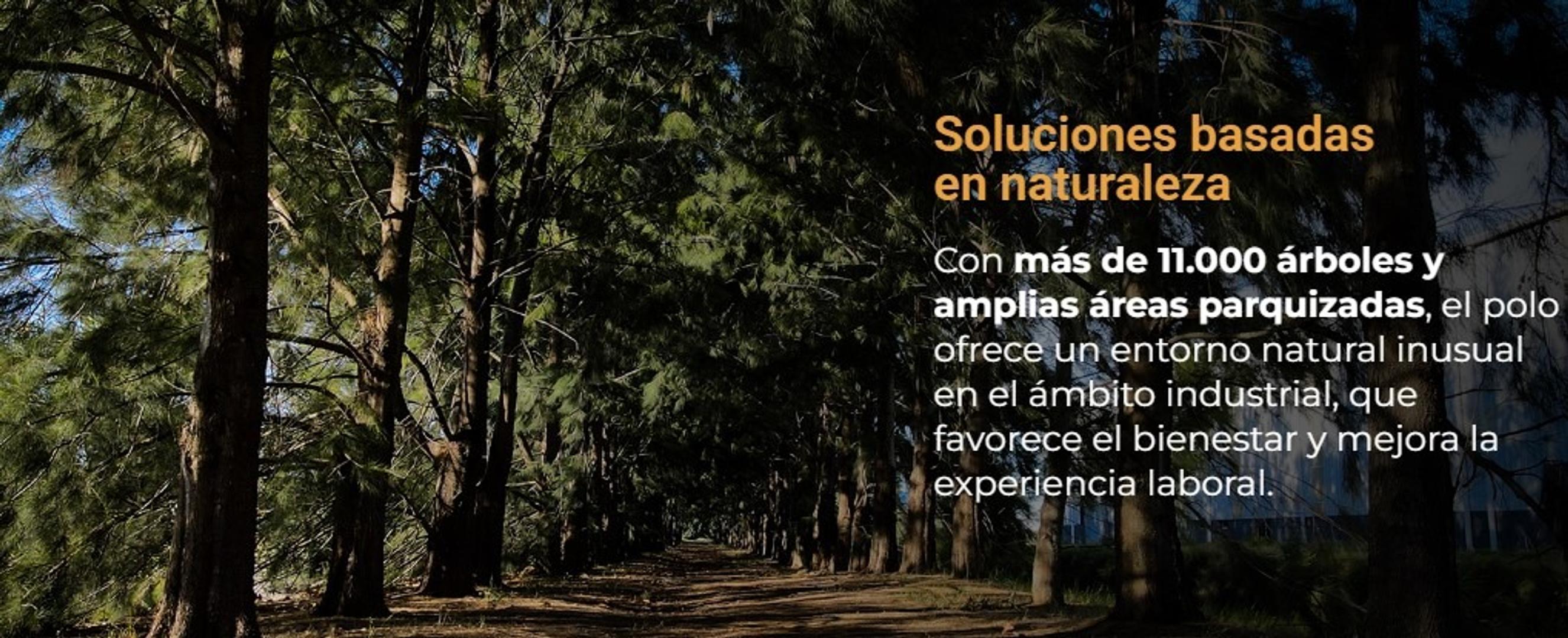 Terreno en Venta, FOS 60