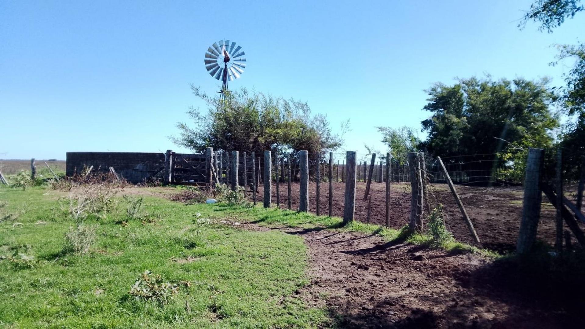 VENTA - CAMPO GANADERO 1.450 HECTÁREAS