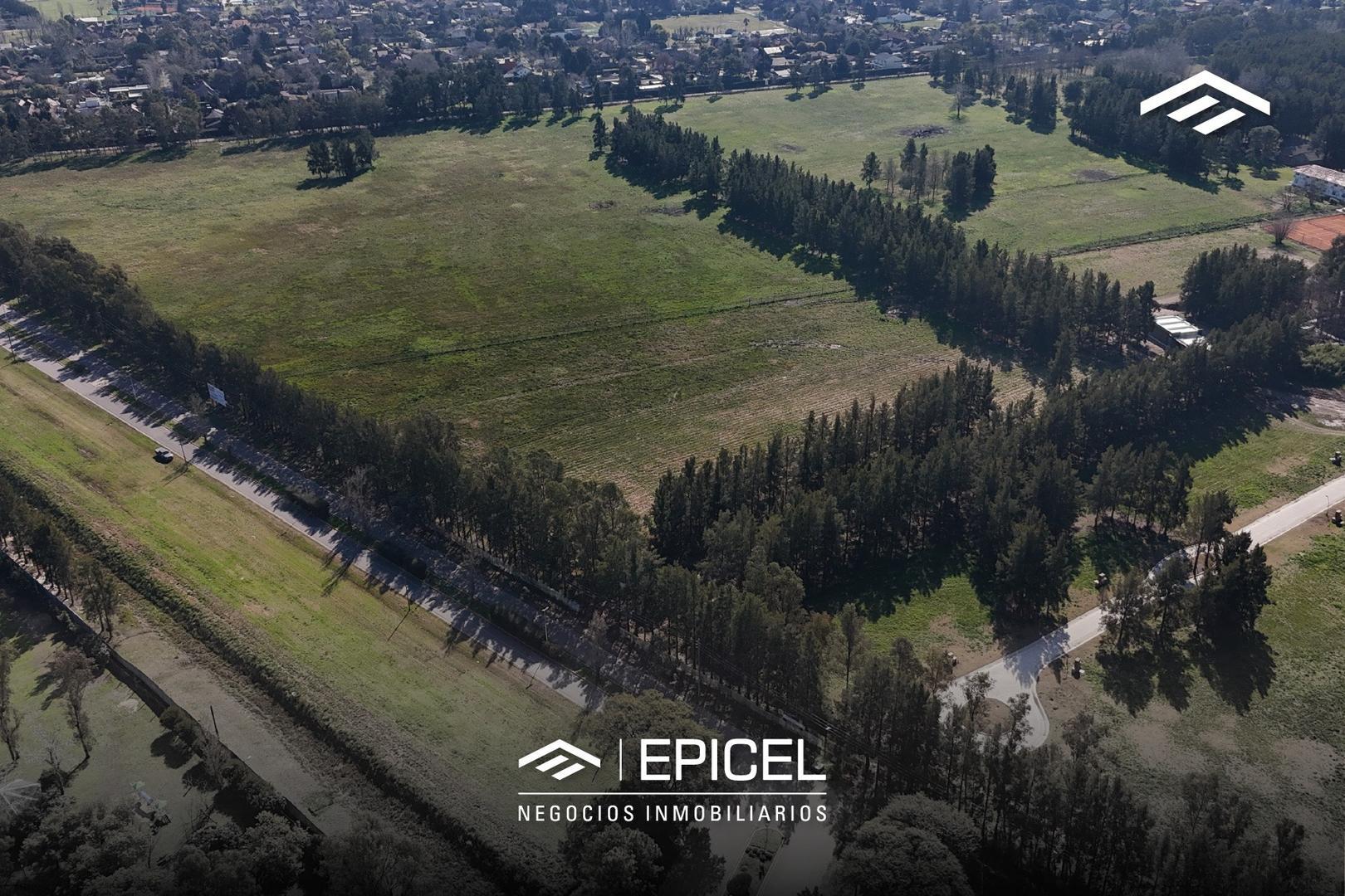 Cnel Vicente Dupuy 6000