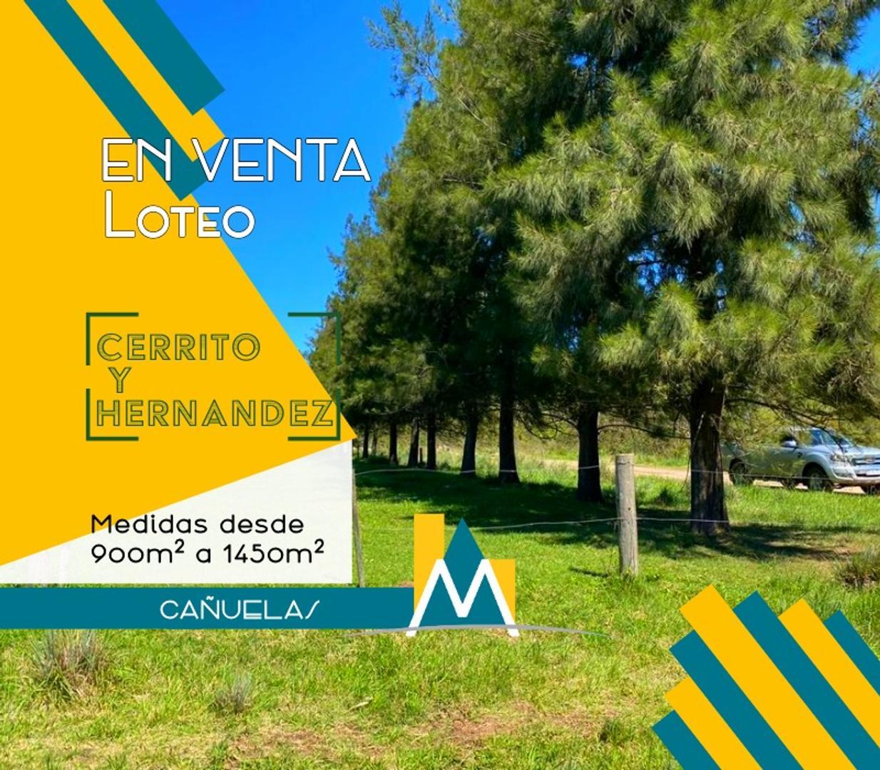 Terrenos - Lotes en venta - Barrio abierto en Cañuelas.