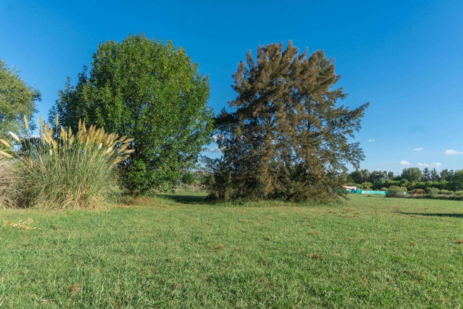 Terreno en Venta de 2000,0 m2