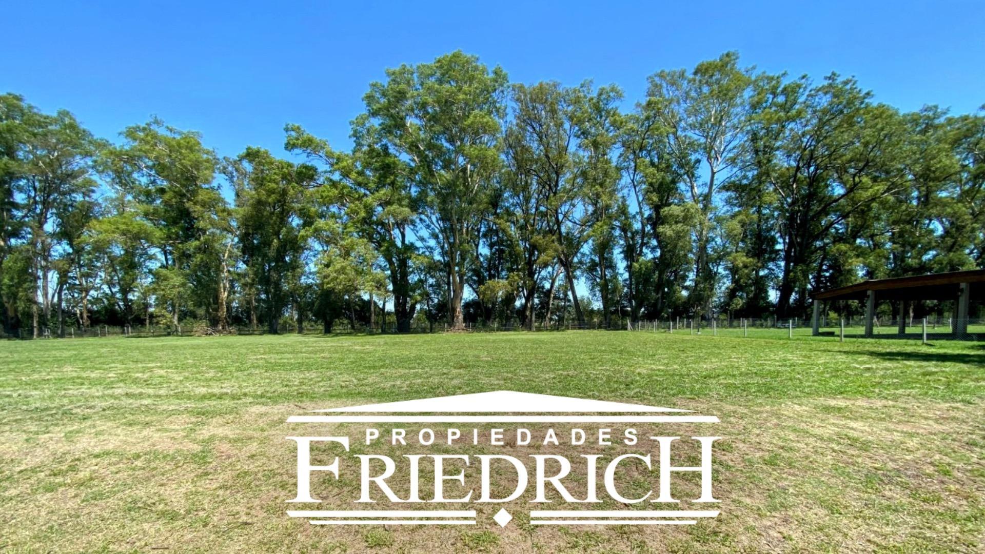 Terreno en Venta, FOT 3