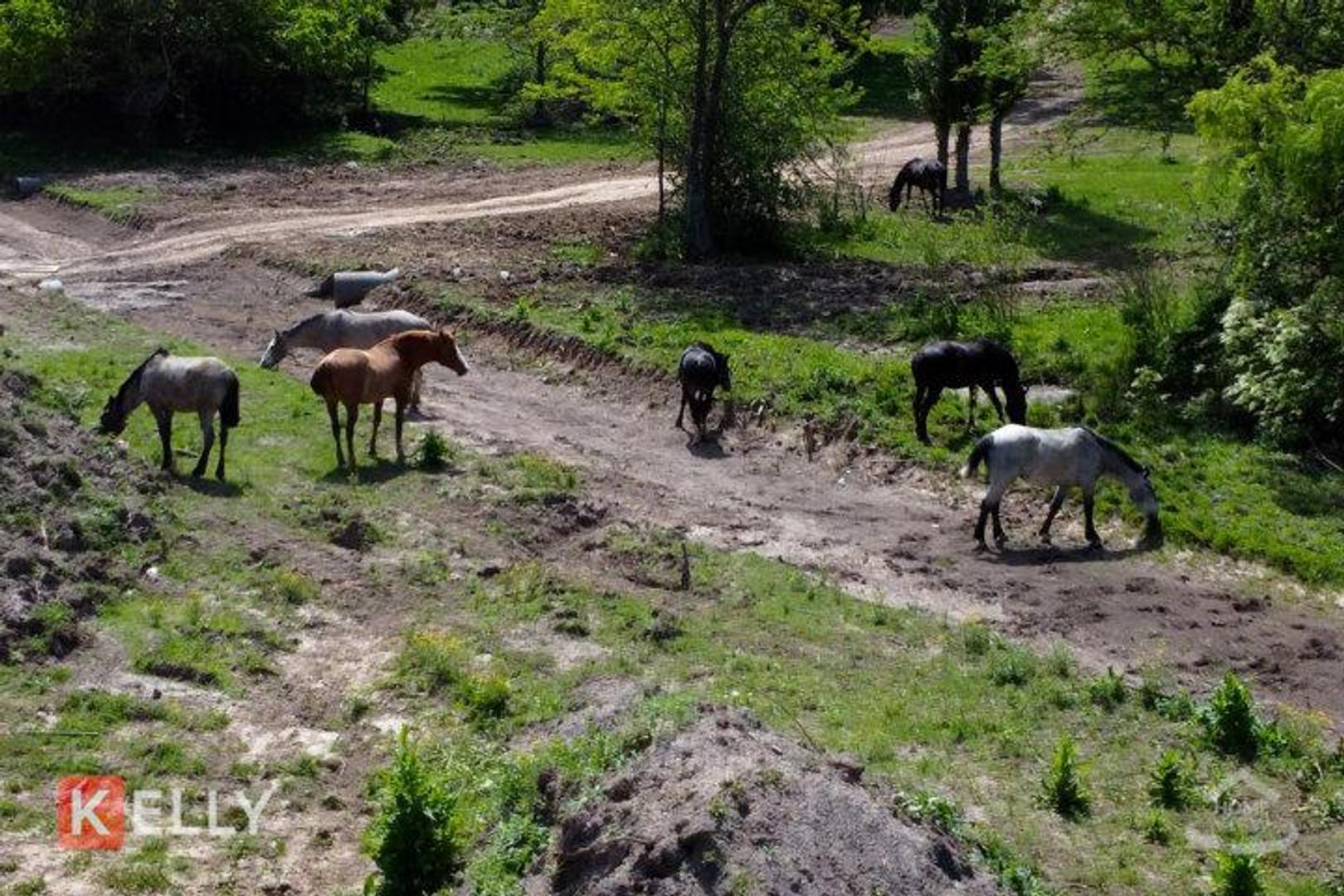 Terreno en Venta en Los Cardales, USD 29.500