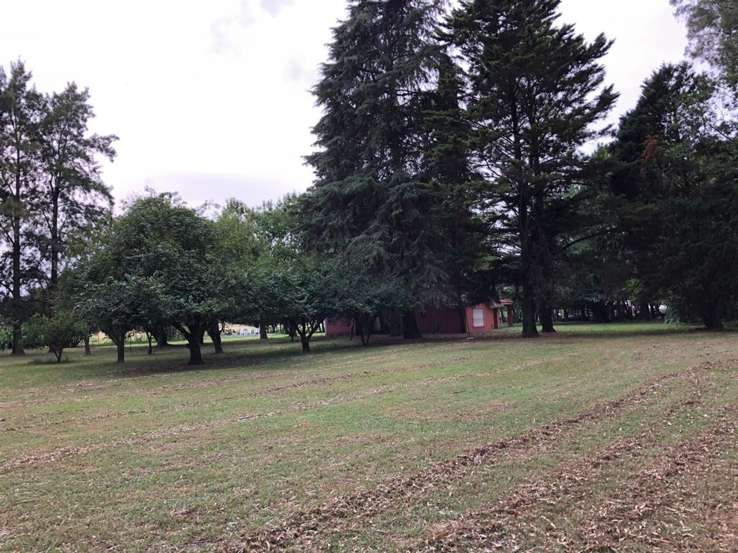 Venta Campo en Exaltación de la Cruz