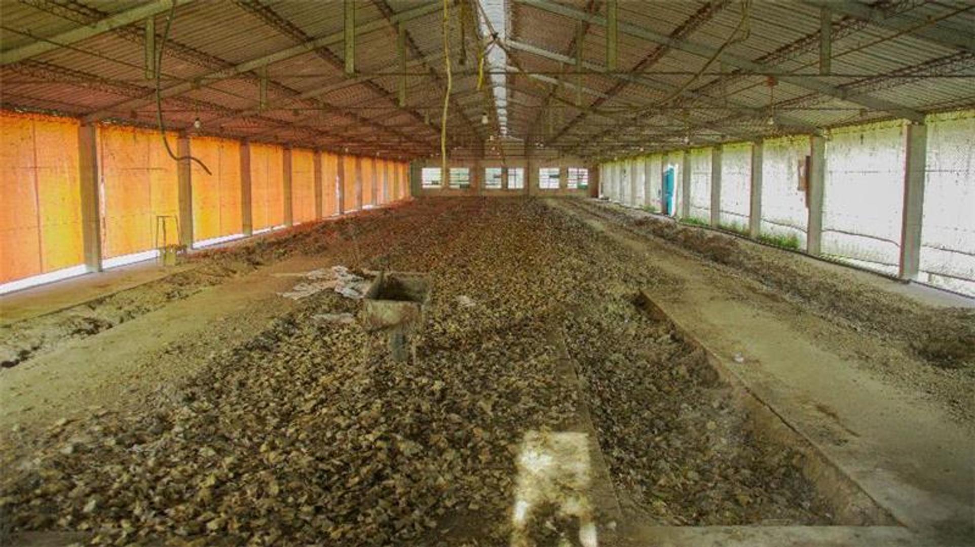 Vivienda y Depósitos - 1738 m² Construidos