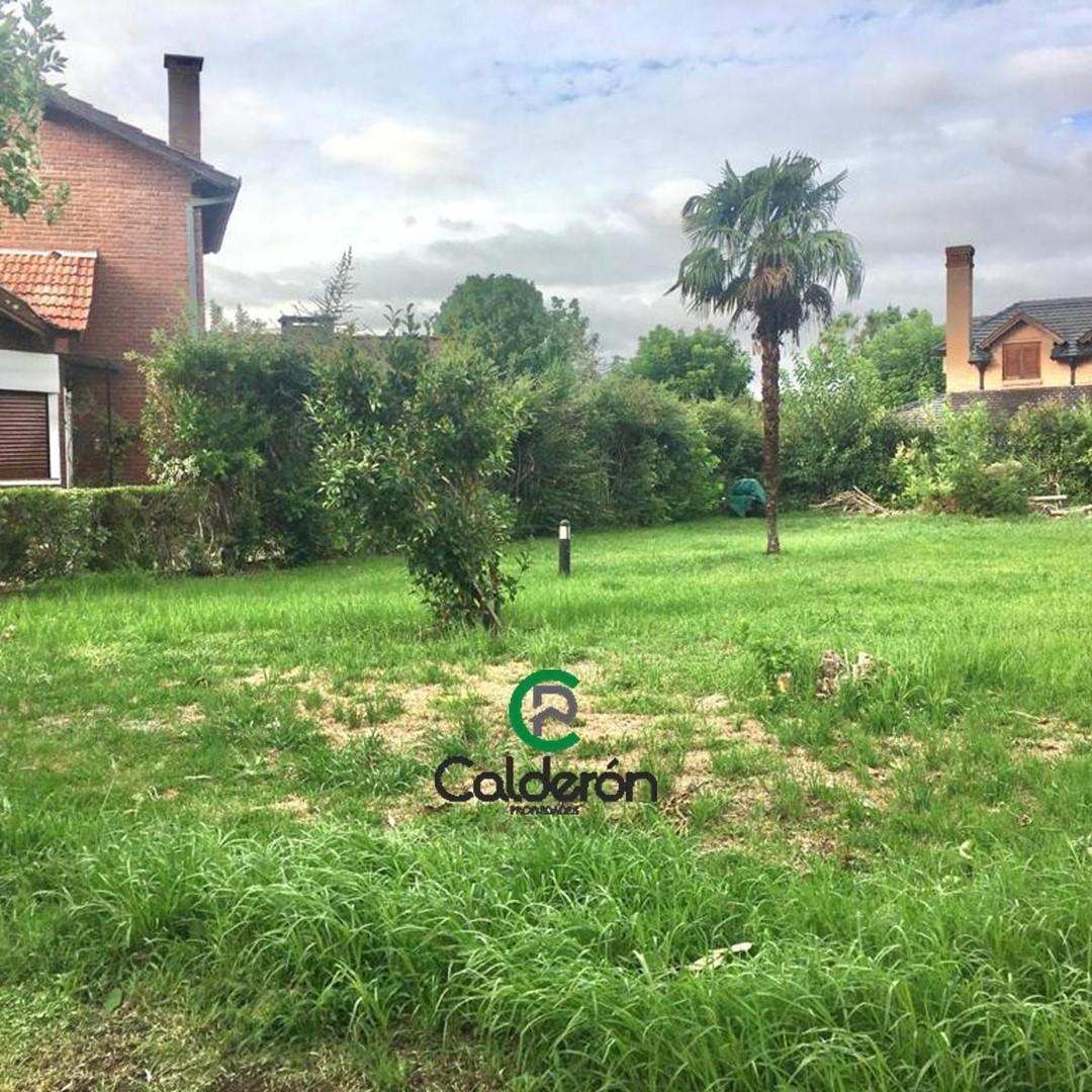 Almafuerte 3901 3900