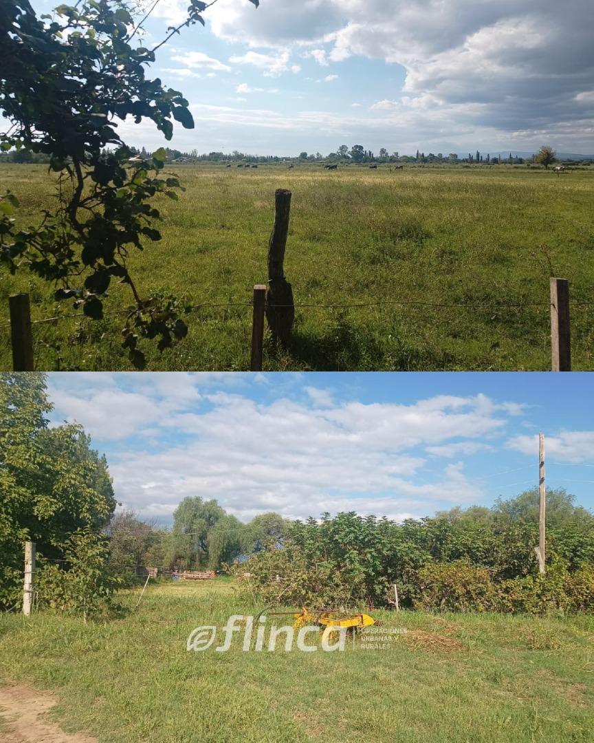 Consultar dirección