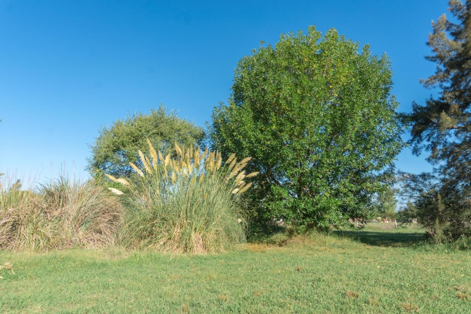 Lote en Venta en La Arbolada