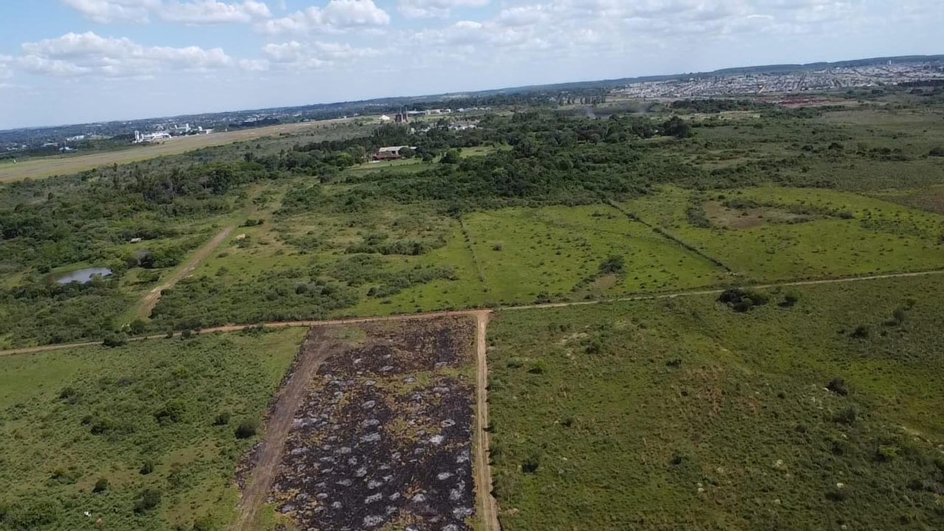 Imperdibles Hectareas en Nemesio Parma