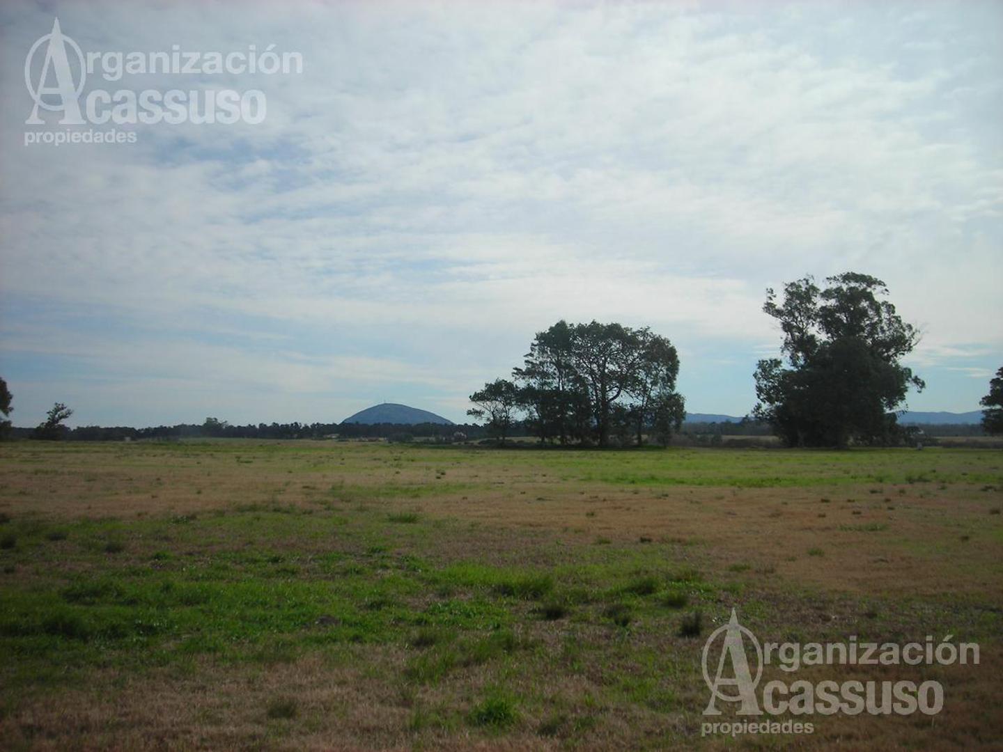 Laguna de Los Cisnes - Lote Venta 5430 m2