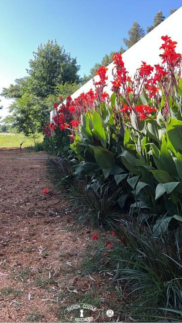 Campo en Venta de 5  ha