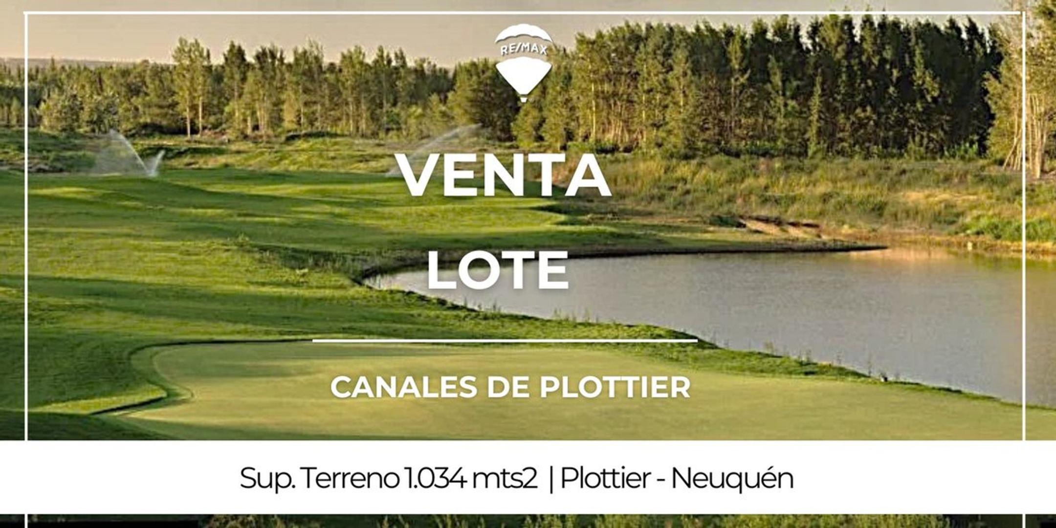 Venta Terreno, 1034m2, Lote 293, Plottier, Confluencia | Argenprop