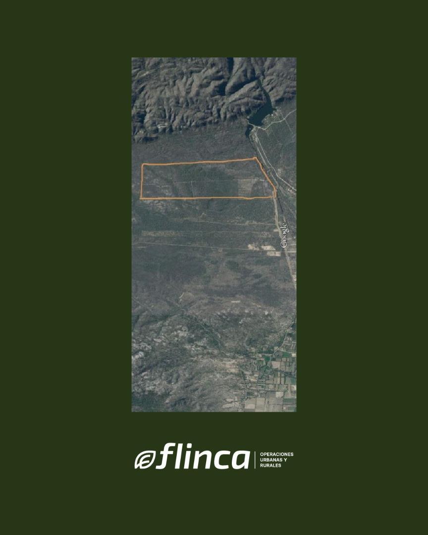 Frente A Rio De Los Sauces