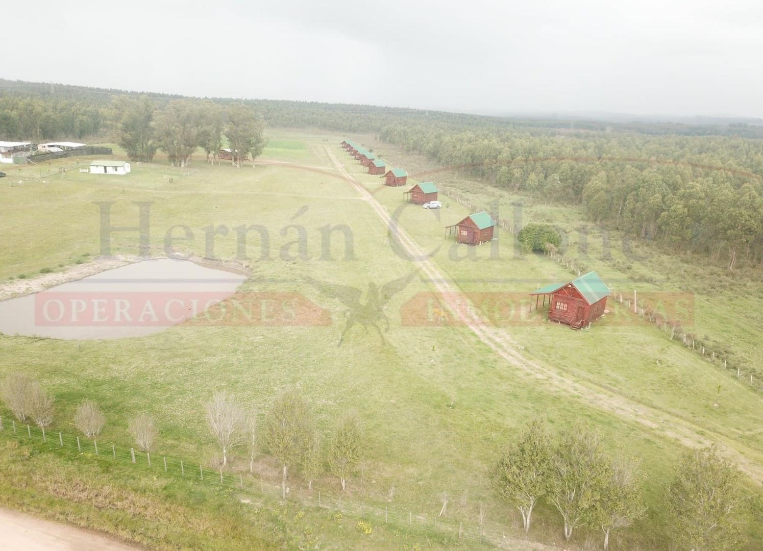 EXCELENTE CAMPO 13 HAS CON CABAÑAS EN MALDONADO, URUGUAY