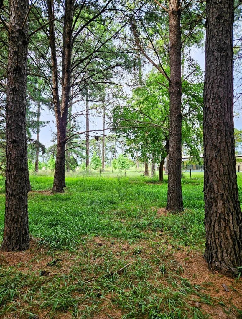 Venta Lote/Terreno en Los Pinares Exaltacion de la Cruz