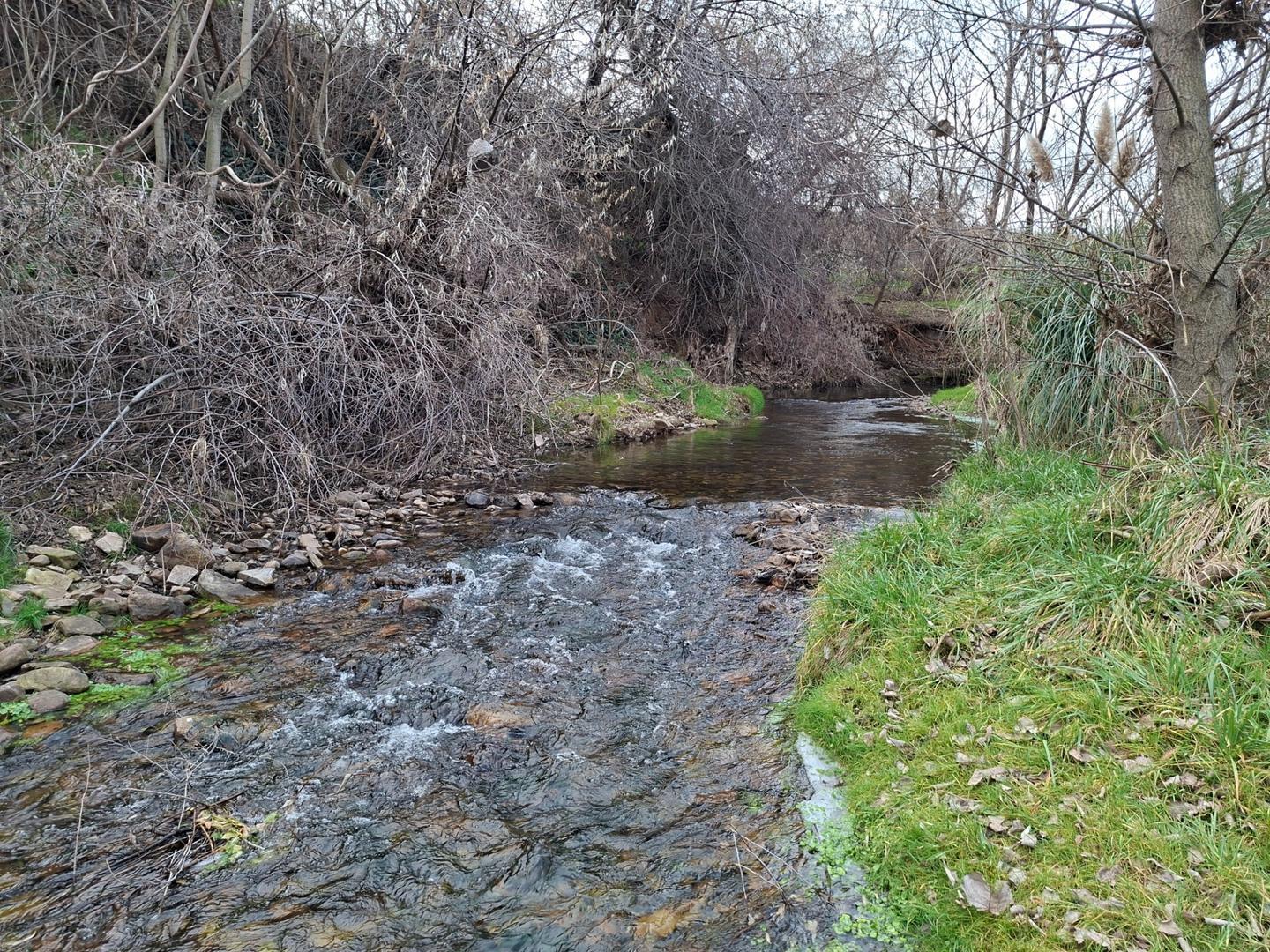 Casa 2 ambientes con 1 baño