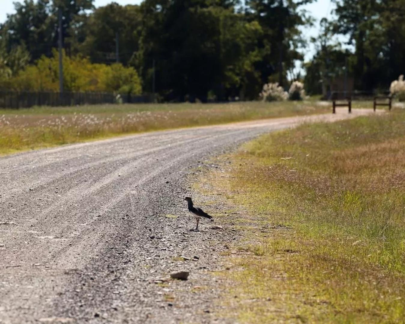 Terreno en Venta de 1500,0 m2