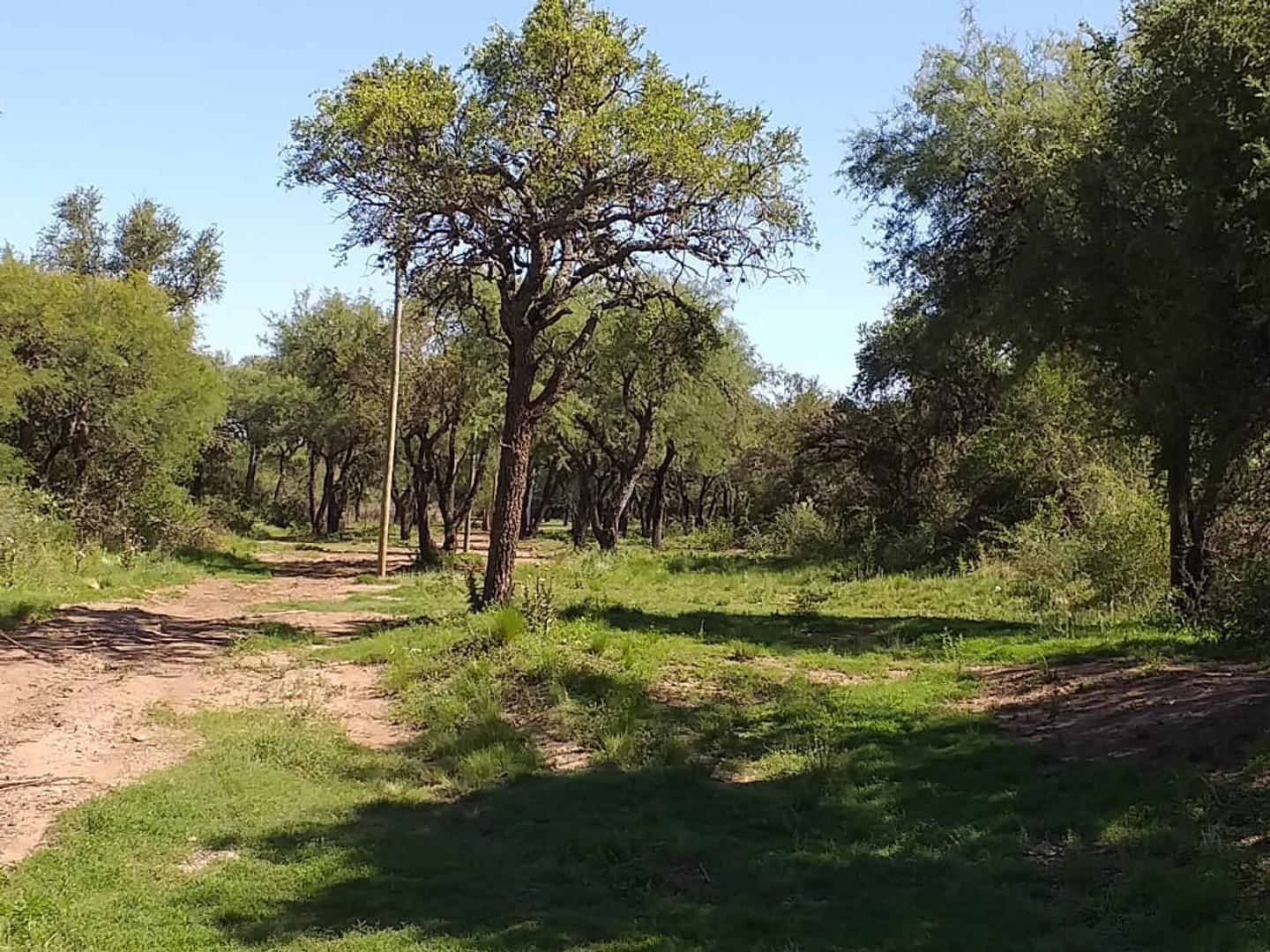 Terreno en Venta en Centro, USD 25.000