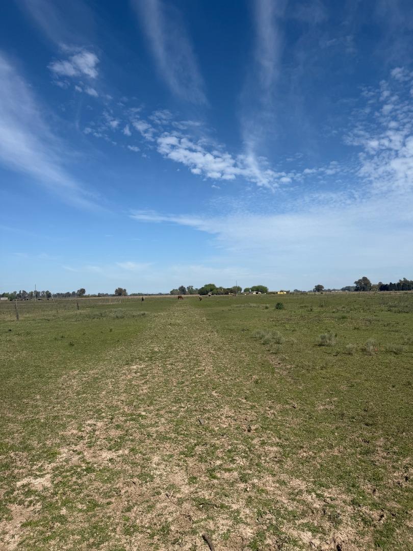 Venta Terreno / Lote Villa Espil 2000m2