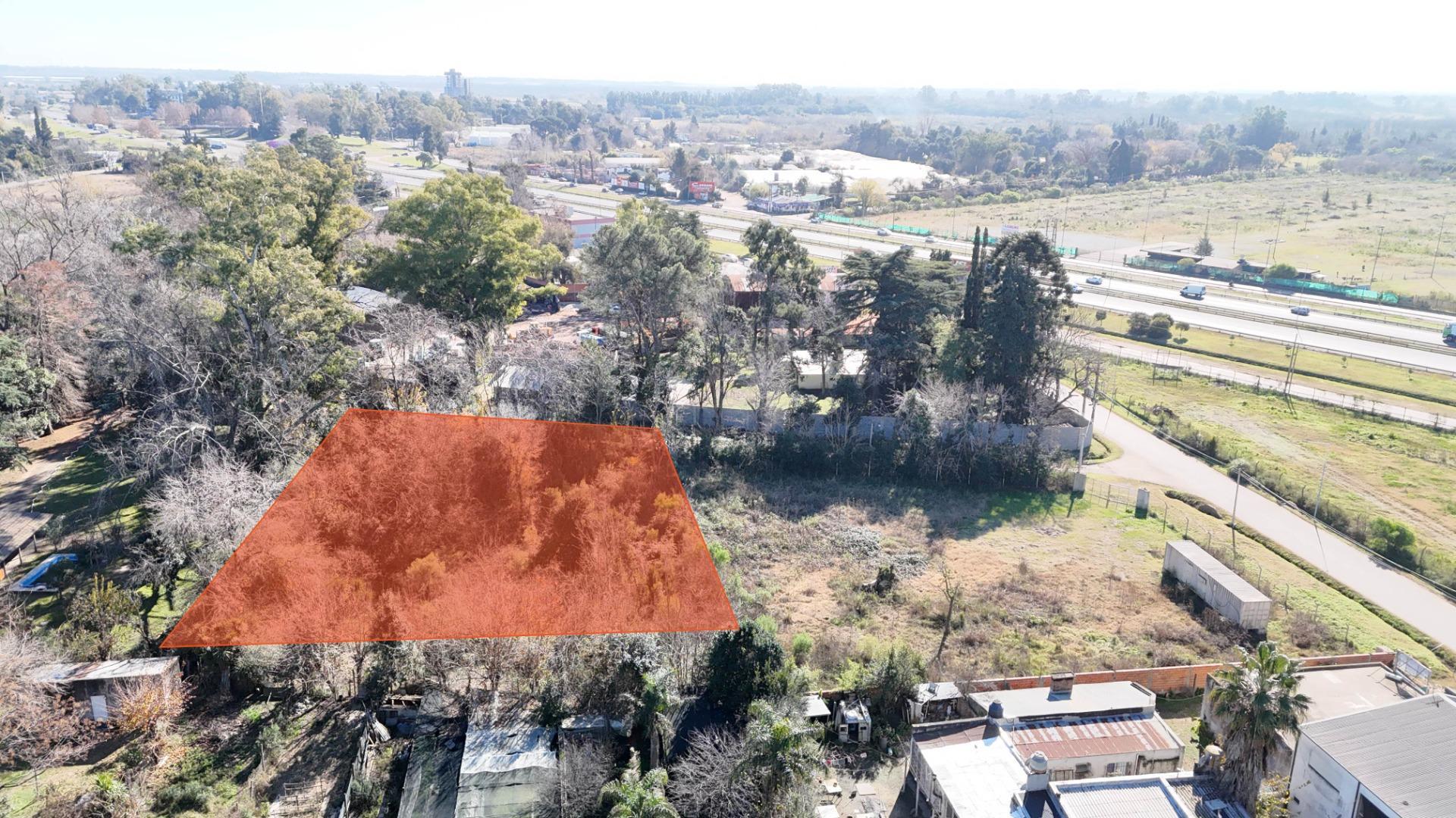 Los Alamos Y Las Araucarias