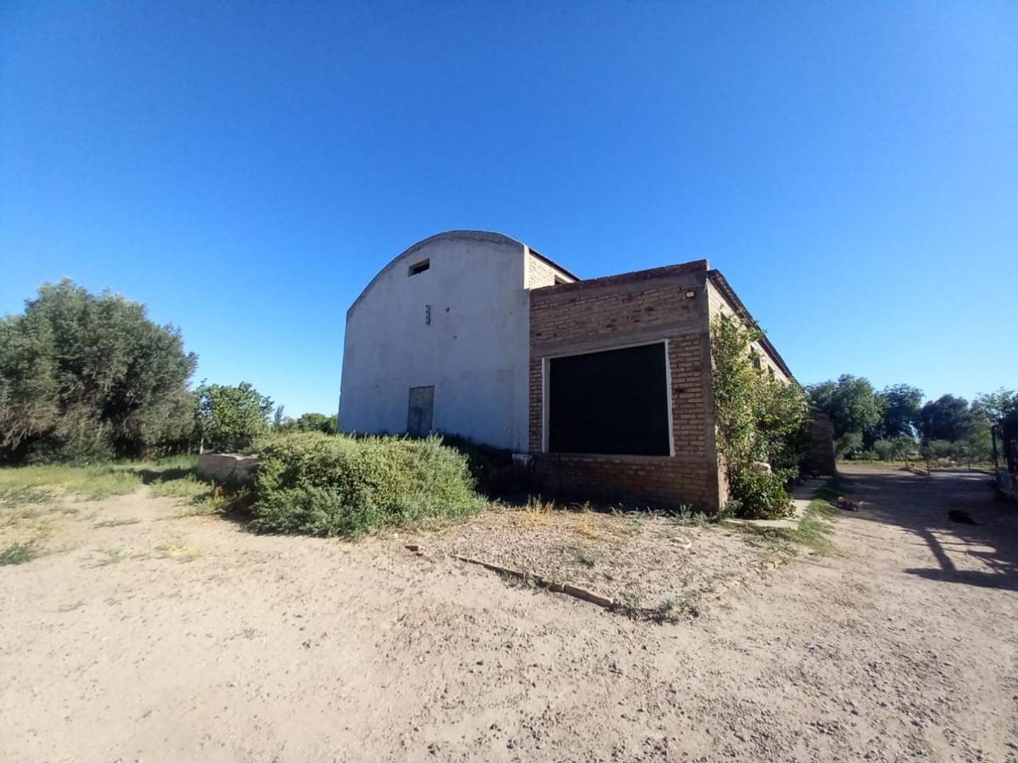 Bodega de 600 mil litros en San Martín