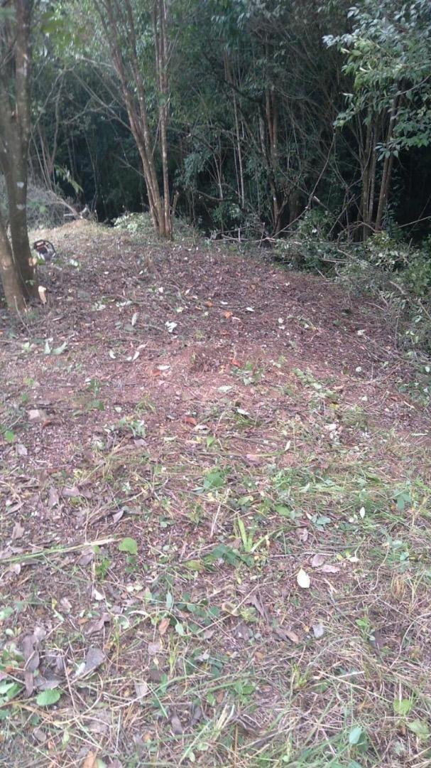 Terreno en Venta en Los Zarzos De San Lorenzo, USD 80.000