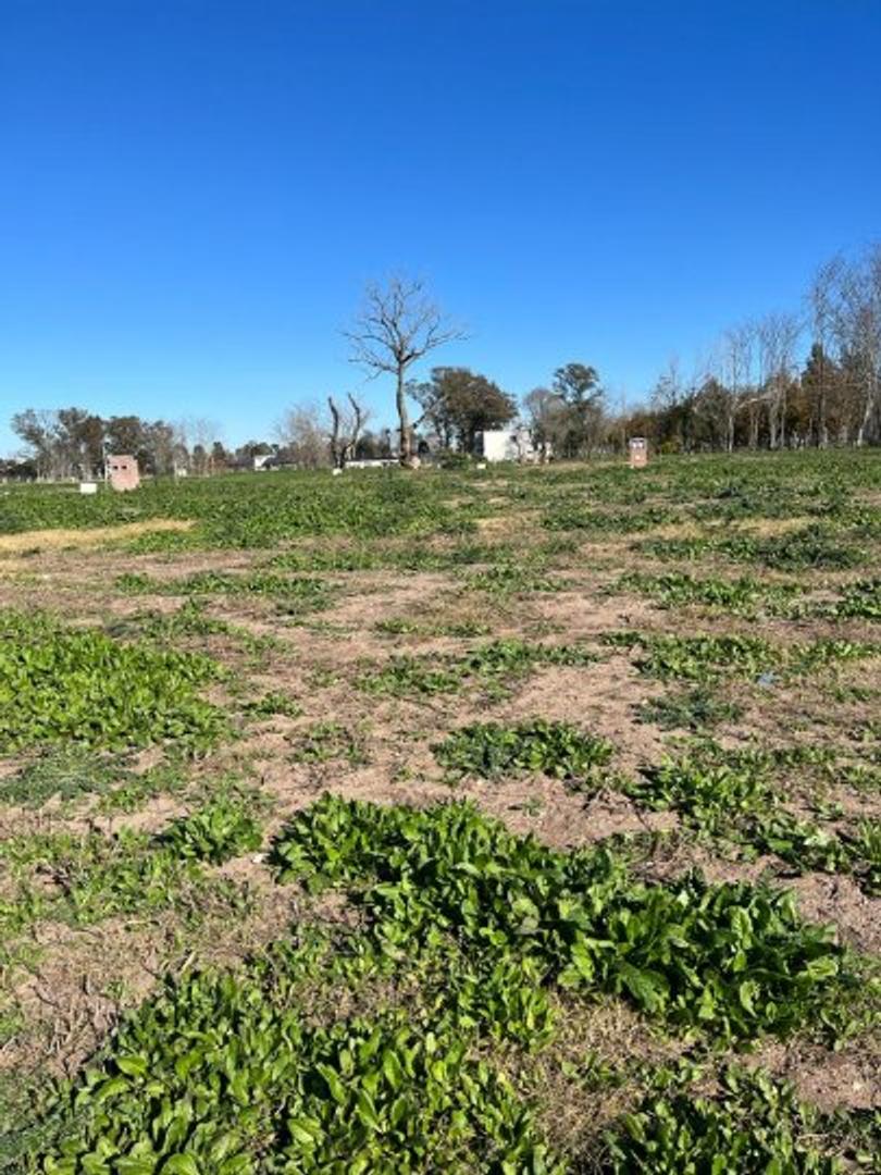 BARRIO SAN JUAN CHICO